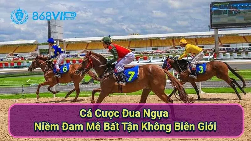 Cá Cược Đua Ngựa - Niềm Đam Mê Bất Tận Không Biên Giới 10 ca-cuoc-dua-ngua